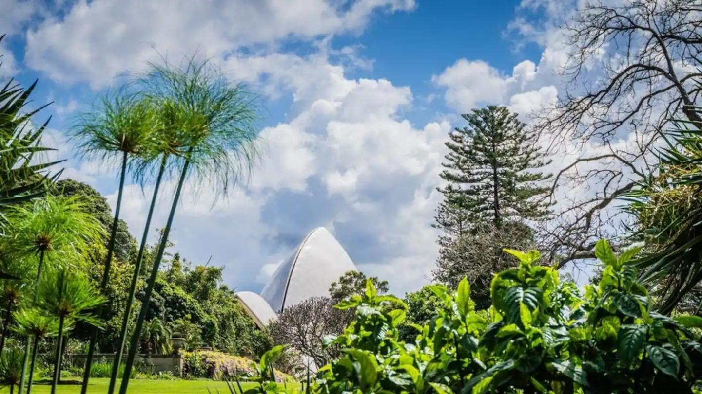 Kozyguru Cbd Location Nha653-1201 * Sydney